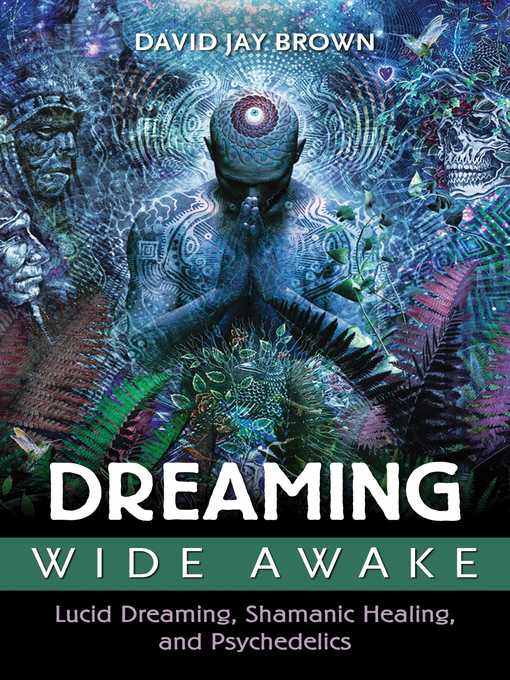 Title details for Dreaming Wide Awake: Lucid Dreaming, Shamanic Healing, and Psychedelics by David Jay Brown - Available